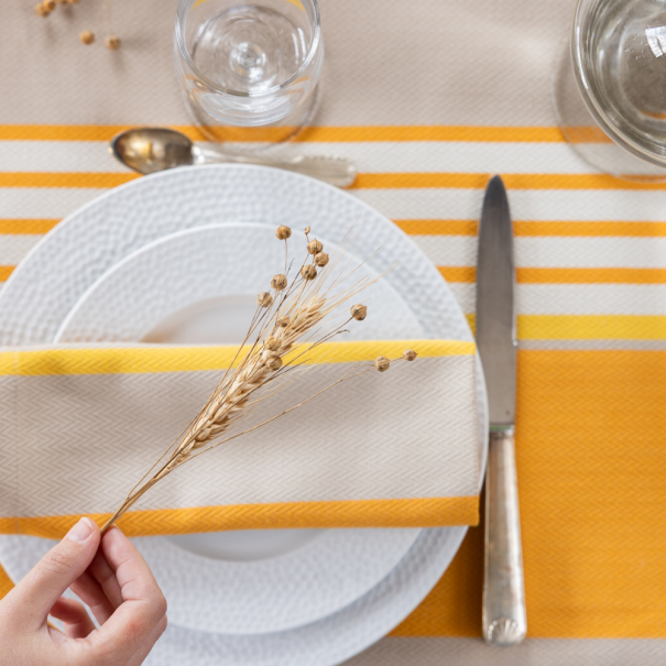 Nappe coton bio, Eguzki