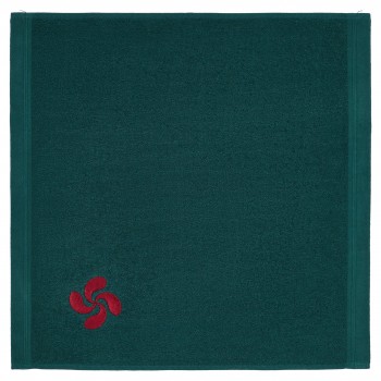 Embroidered terry hand towel