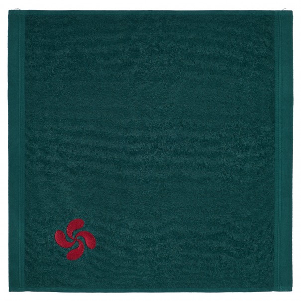 Embroidered terry hand towel